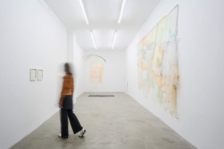 Liz Elton: Artist of the Month